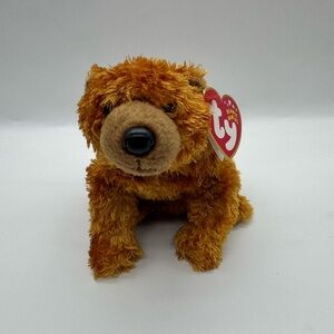 Ty Beanie Baby Sequoia the Bear plush toy.